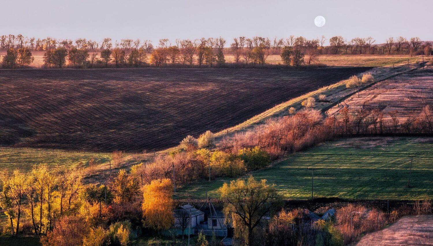, Игорь Мелекесцев