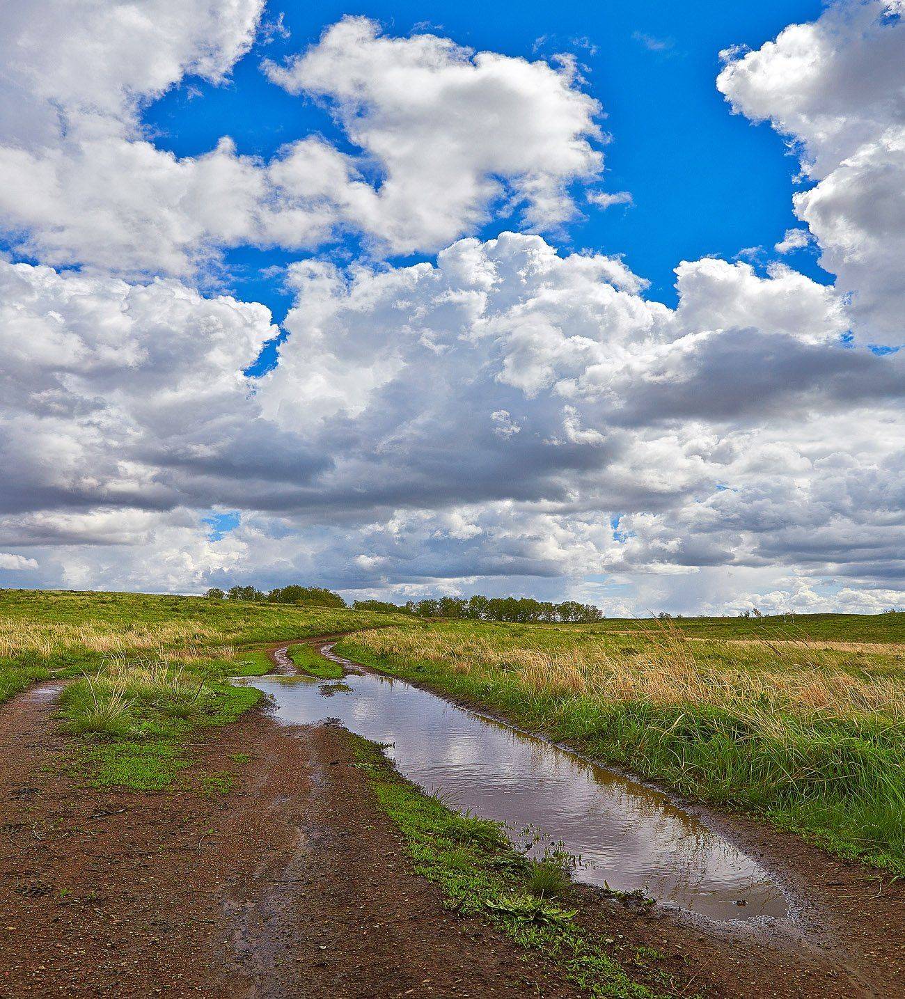 2015г., Качурин алексей, Май, Оренбургская область, Орск, Степи, Качурин Алексей