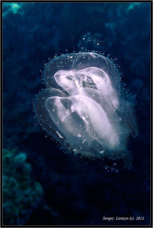 The unknown flying object фото превью