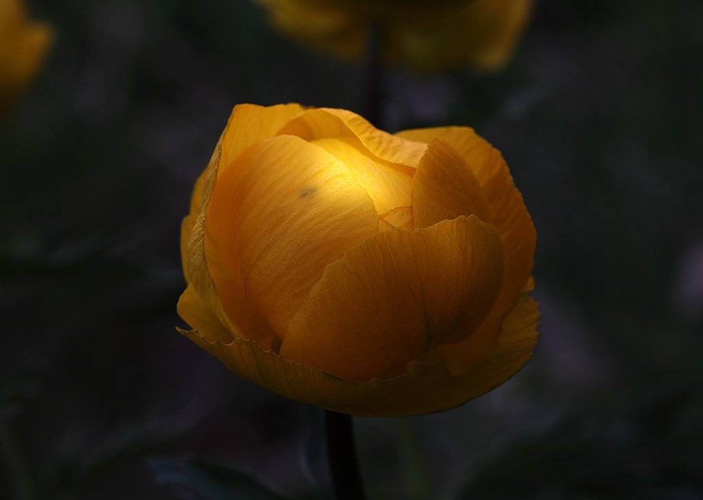 , Сергей Таланов