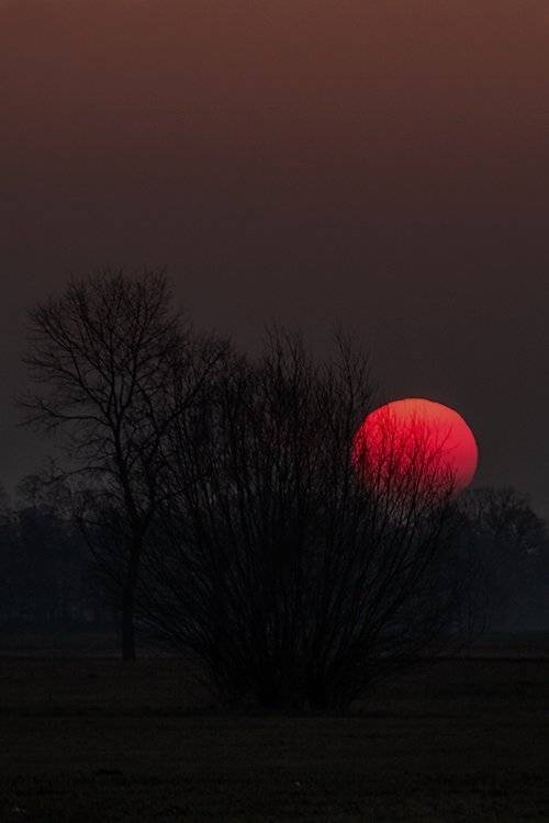 , Pawel Plucinski