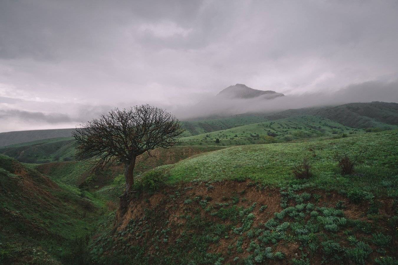 , Олег Логунов