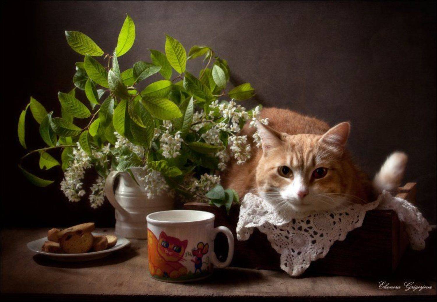 Весна, Молоко, Натюркотики, Рыжая кошка, Черёмуха, Eleonora Grigorjeva