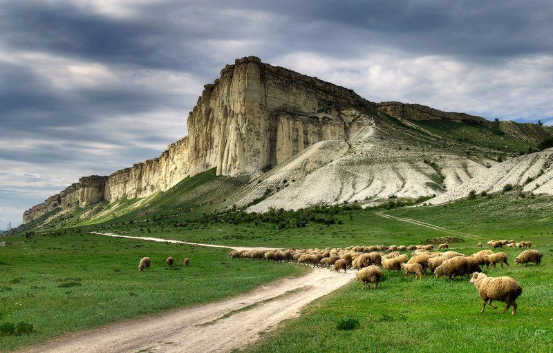 Барашки древней Киммерии фото превью