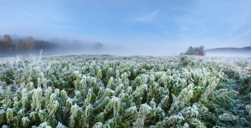 Заиндевелое утро фото превью