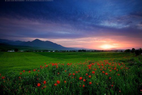 Время для медитаций