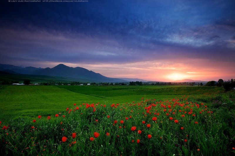 киргизия, ала-тоо, горы, май, lazy_vlad, lazyvladphoto, landscape, kyrgyzstan Время для медитаций фото превью