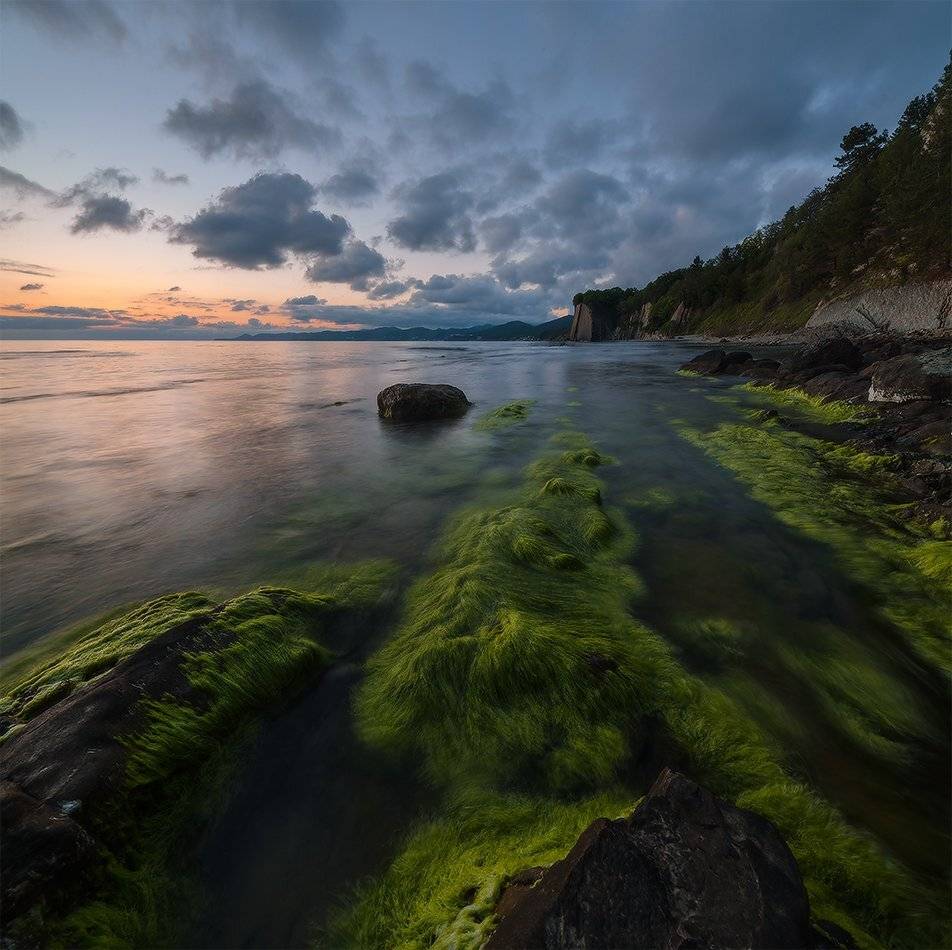 , Николай Мысливцев