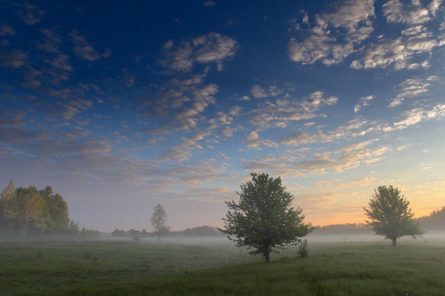 , Михаил (mgk)