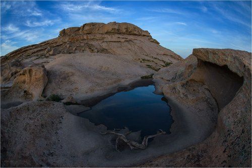 Сумерки богов