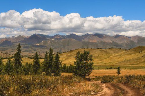 Дорогами Алтая