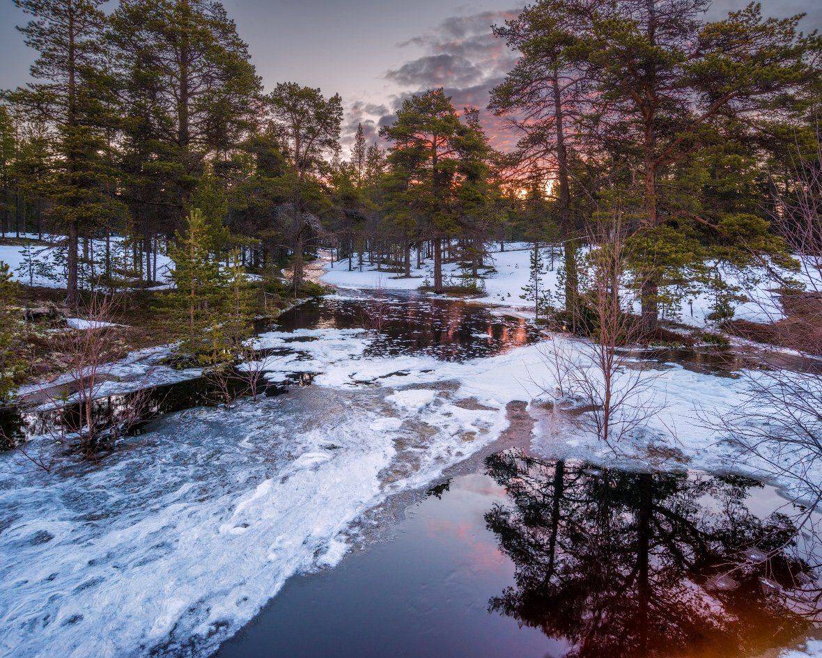 Весна, Заполярье, Кольский, Рассвет, Север, Терский берег, Роман Горячий