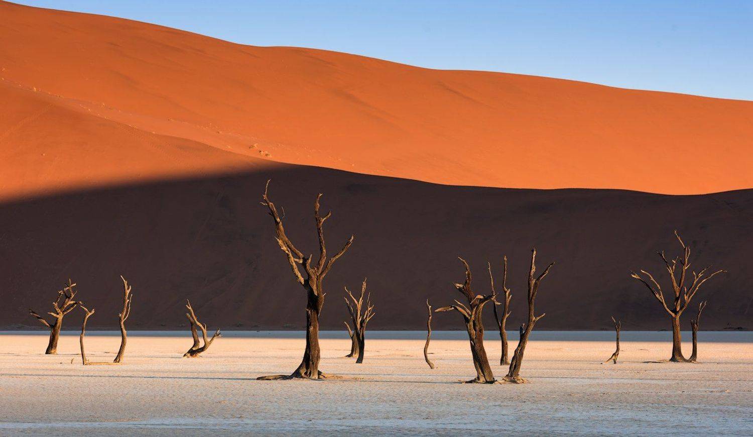 , Виктория Роготнева