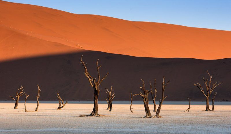 Танец Мертвых Деревьев (Dead Vlei) фото превью