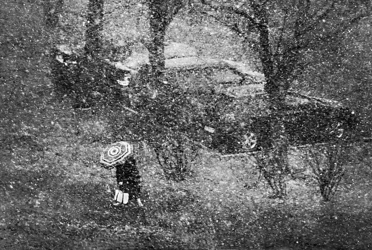 , Елена Лаврова