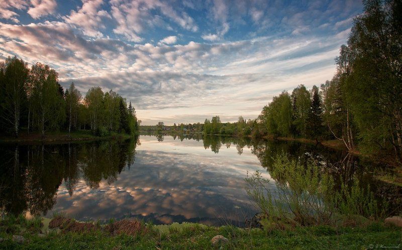 Весна, Вечер, Лес, Май, Пейзаж, Природа, Пруд Майские фантазии... фото превью