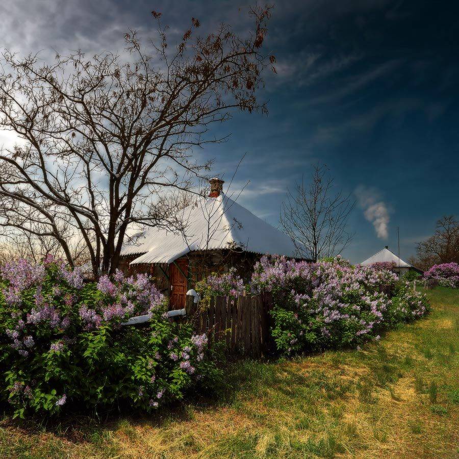 , Петриченко Валерий