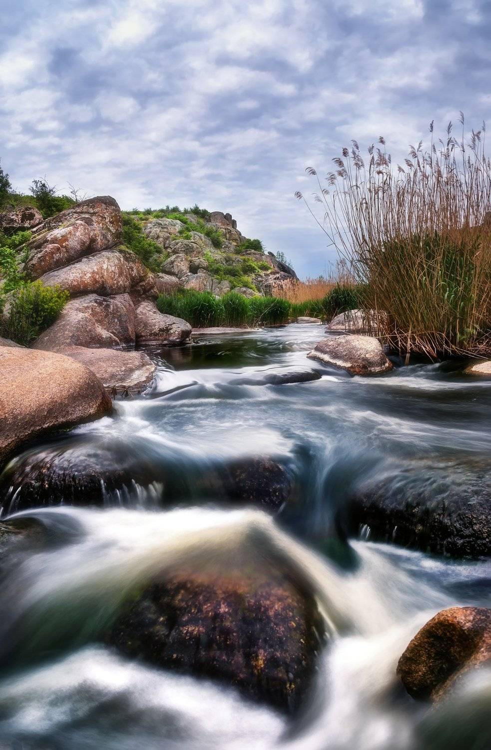 , Анастасия Сак