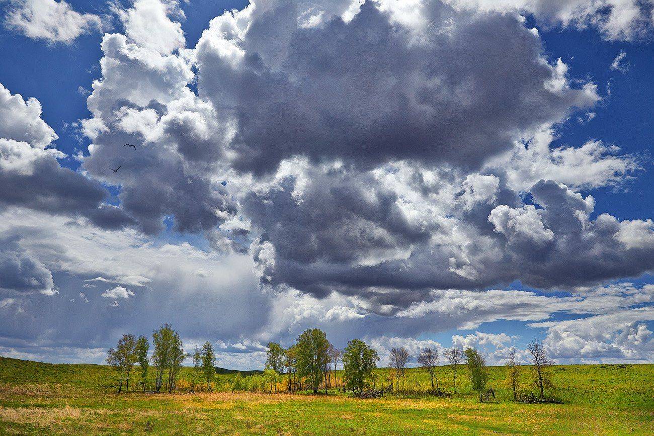 Весна на Урале, Губерля, Качурин, Качурин алексей, Лето Степь, Оренбургская область, Орск, Качурин Алексей