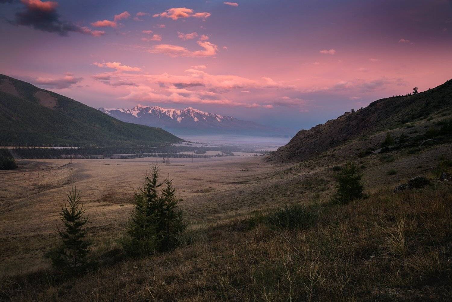 Алтай, Большой, Вершины, Горы, Горыстепь, Красивый, пейзаж, природа, рассвет, розовый, утро, Холодный, Хребет, Дмитрий Антипов