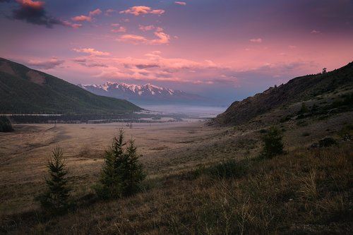 Розовый рассвет