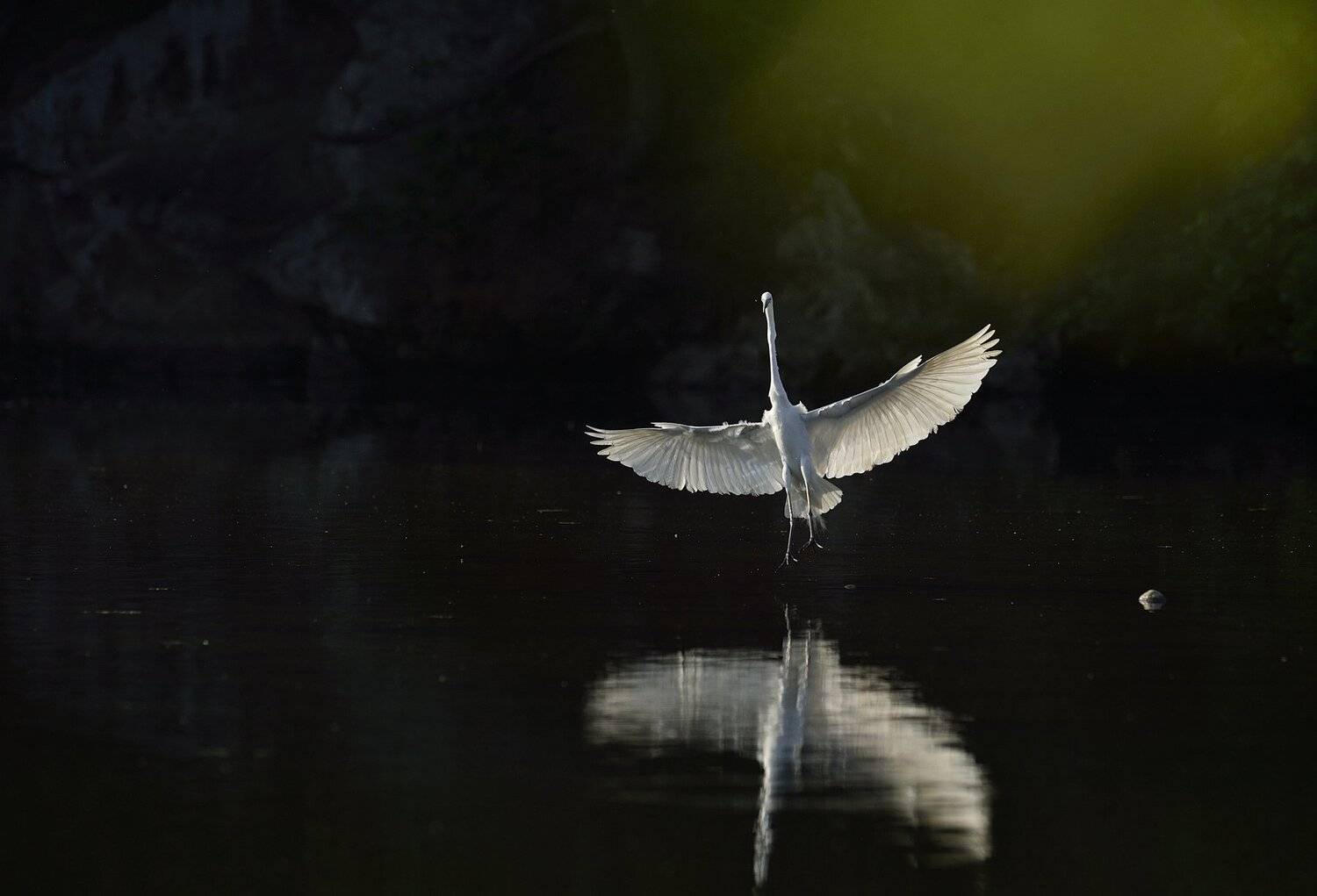 White dew, KIM SUK EUN