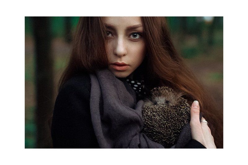 Hedgehog фото превью