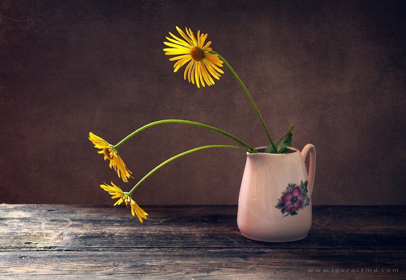 silence фото превью