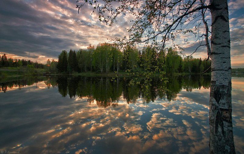 Весна, Вечер, Лес, Пейзаж, Природа, Пруд Весны пожар в мятежном сердце... фото превью