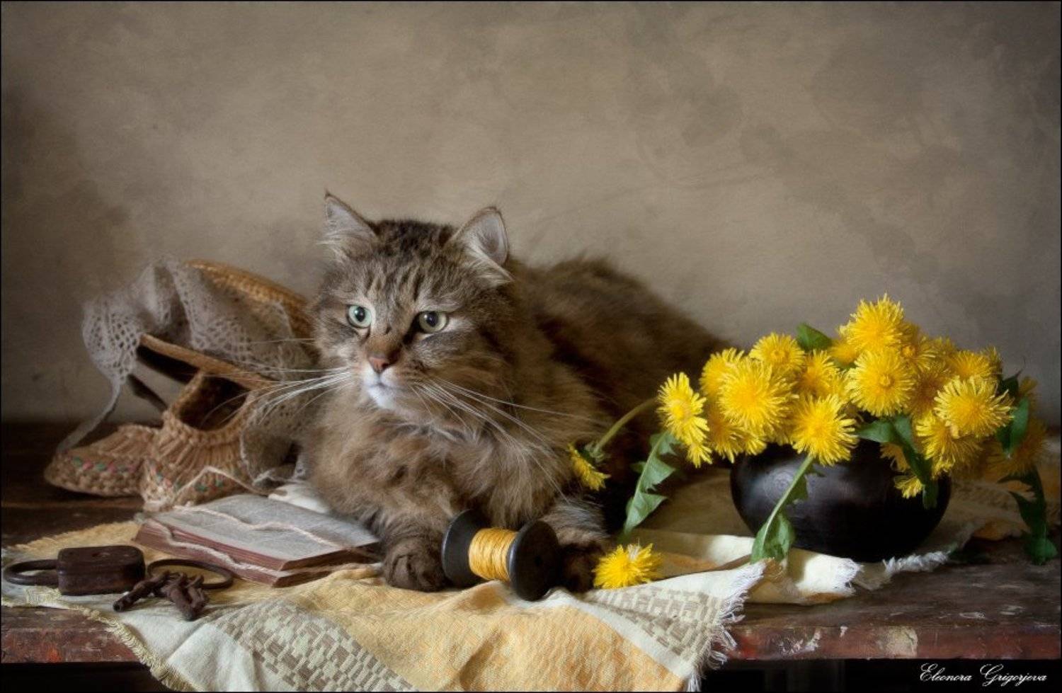 Бэрримор, Весна, Кот, Натюркотики, Одуванчики, Eleonora Grigorjeva