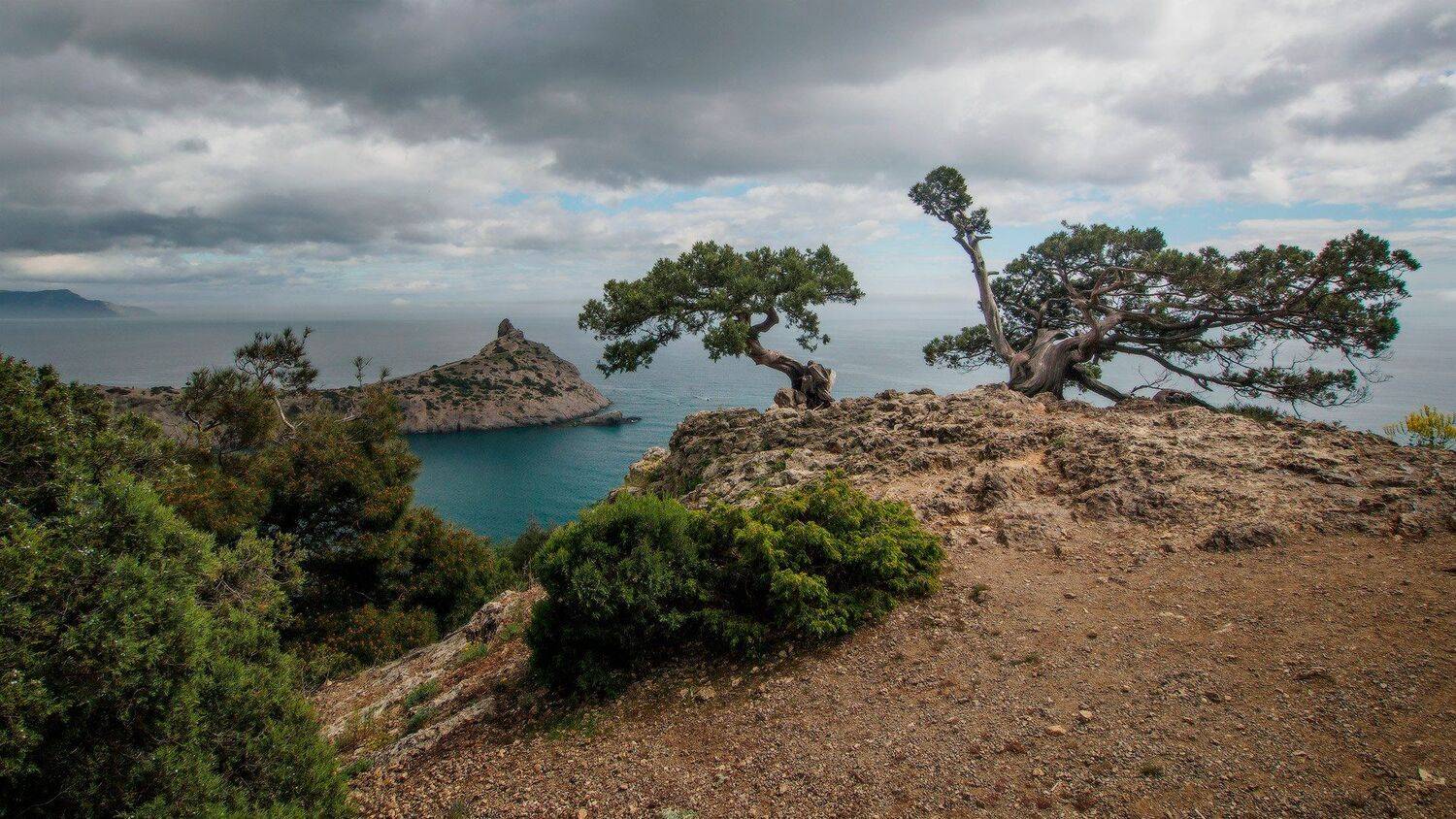 , Владлен Халимов