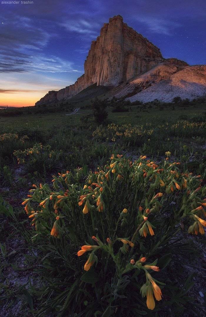 белая скала, крым, пейзаж, Александр Трашин