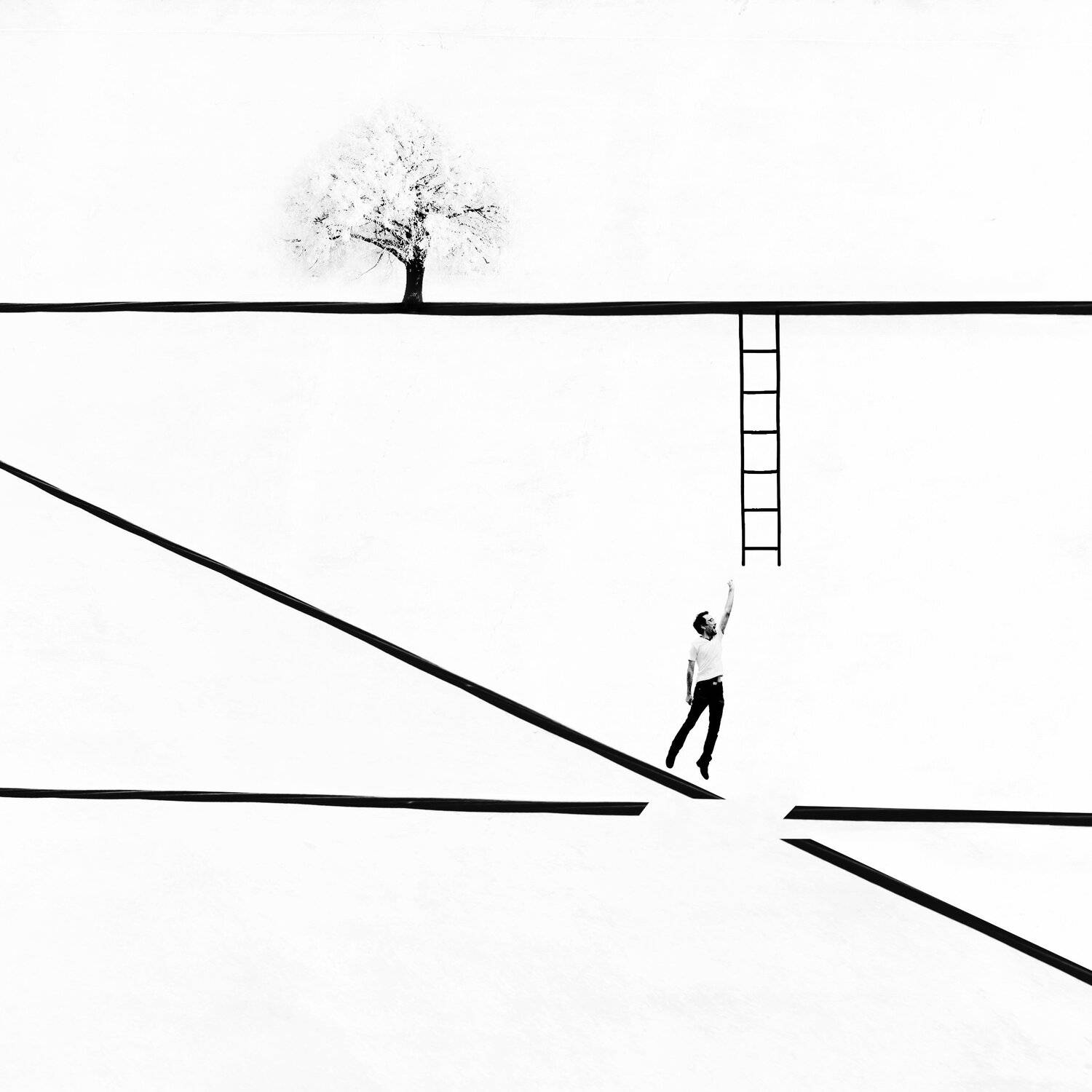 conceptual, fine art, tree, ladder, minimal, photography, lines, milad safabakhsh