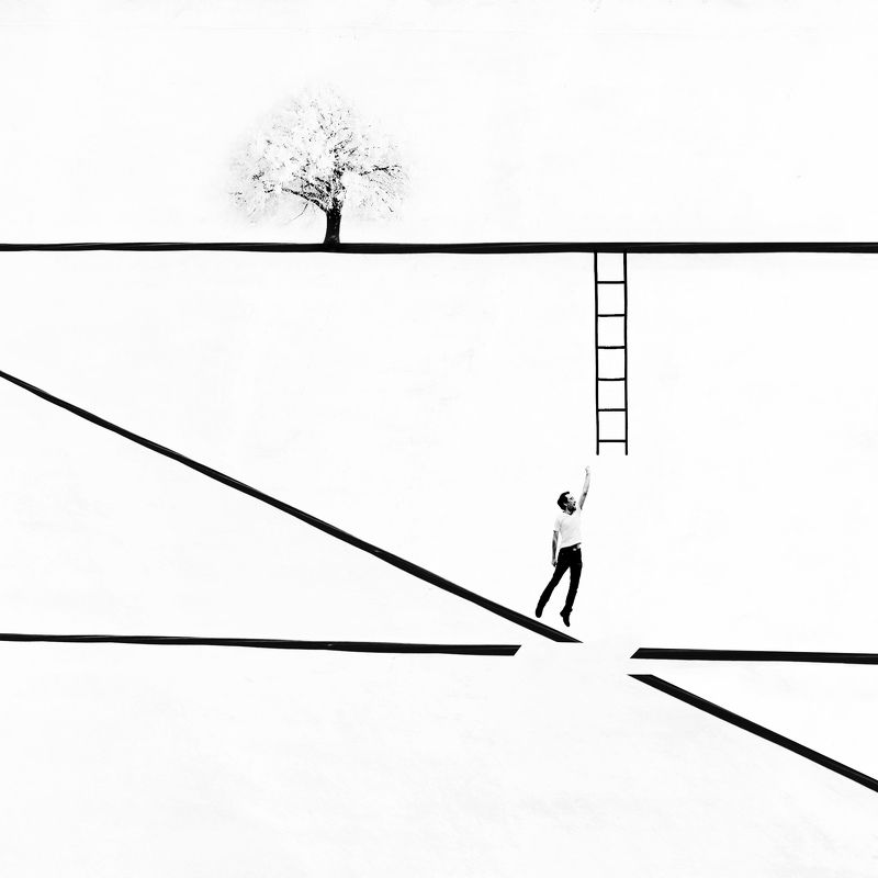 conceptual, fine art, tree, ladder, minimal, photography, lines Is everything worth trying? фото превью