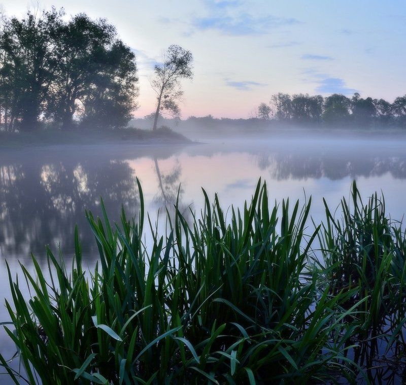 Голубое утро фото превью