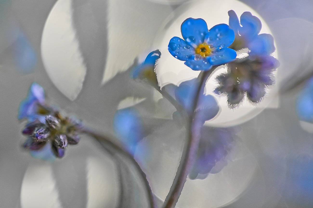 Качурин алексей, Незабудки, Оренбургская область, Орск, Качурин Алексей