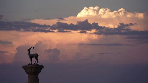 Страж гавани