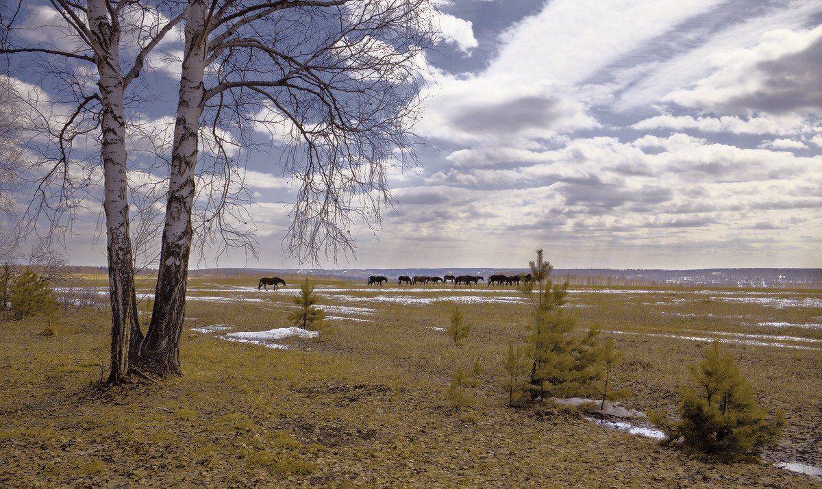 , Николай Морский