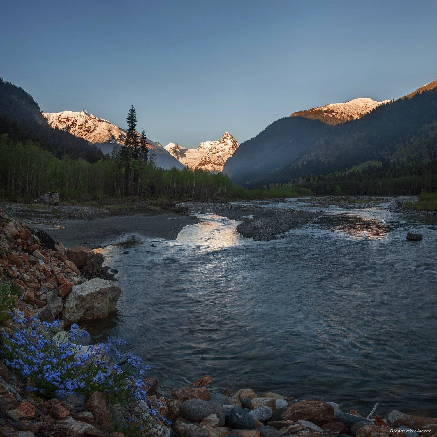 , Алексей Дранговский