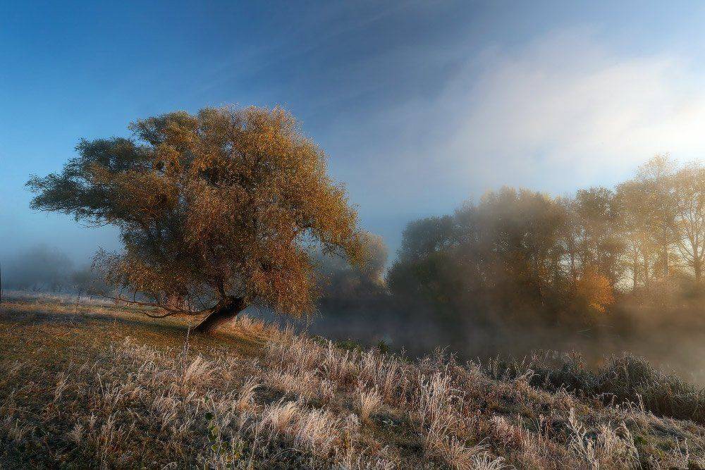 , Петриченко Валерий