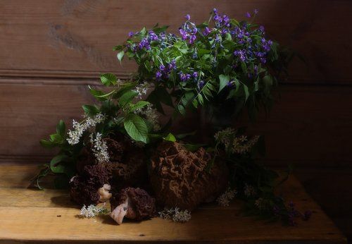 Пока цветет черёмуха