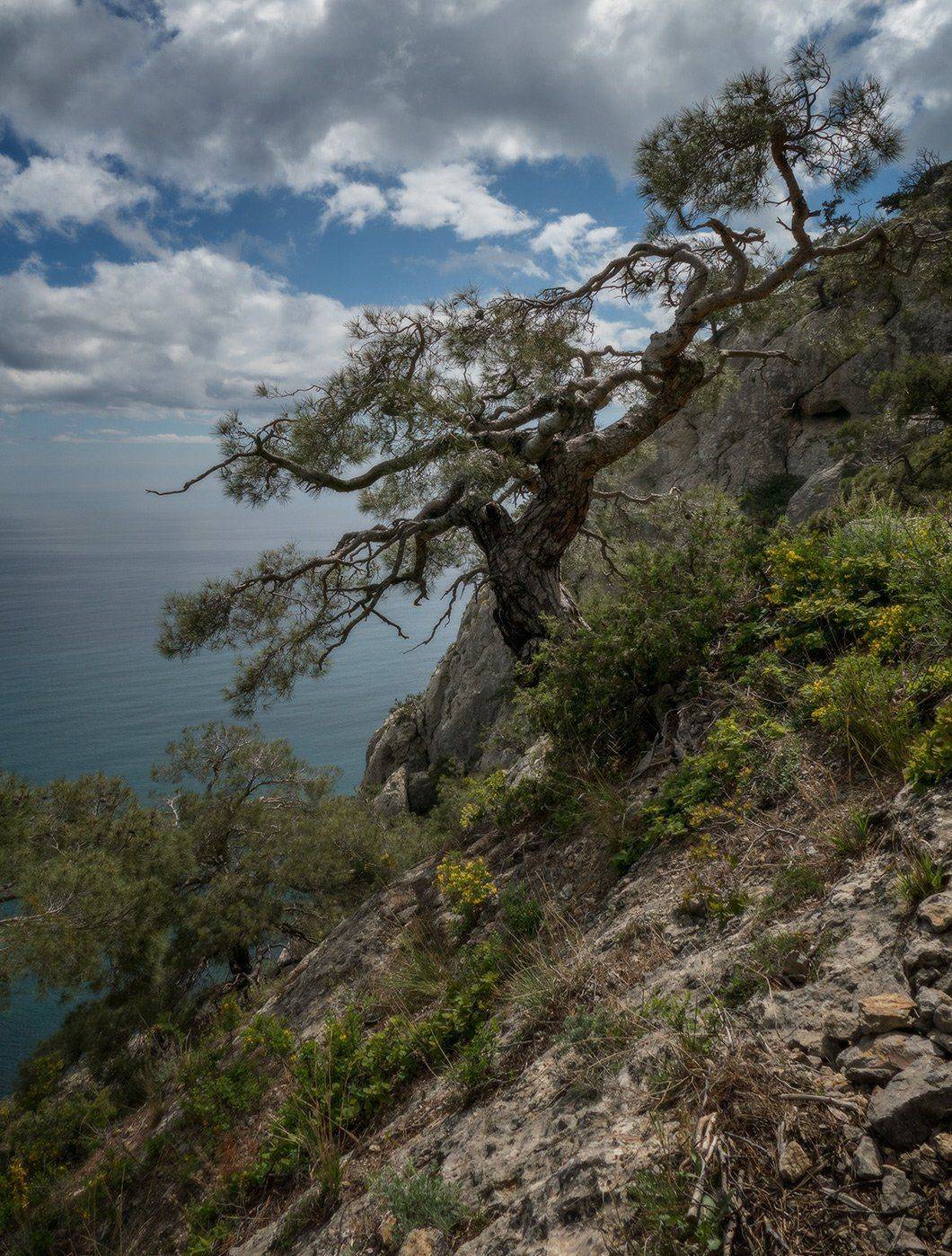 , Владлен Халимов