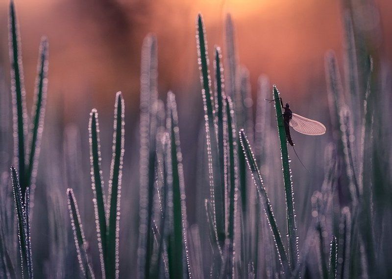 Зажигается. фото превью