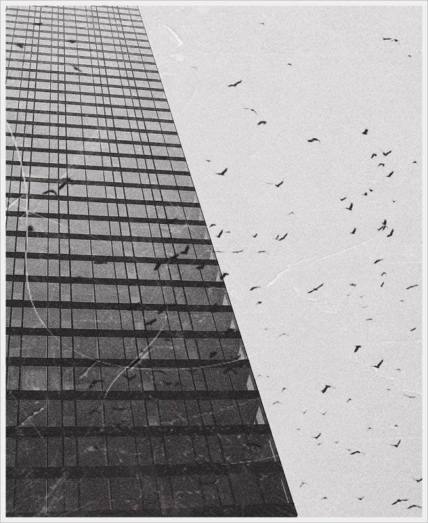 , Krzysztof Trojanowski