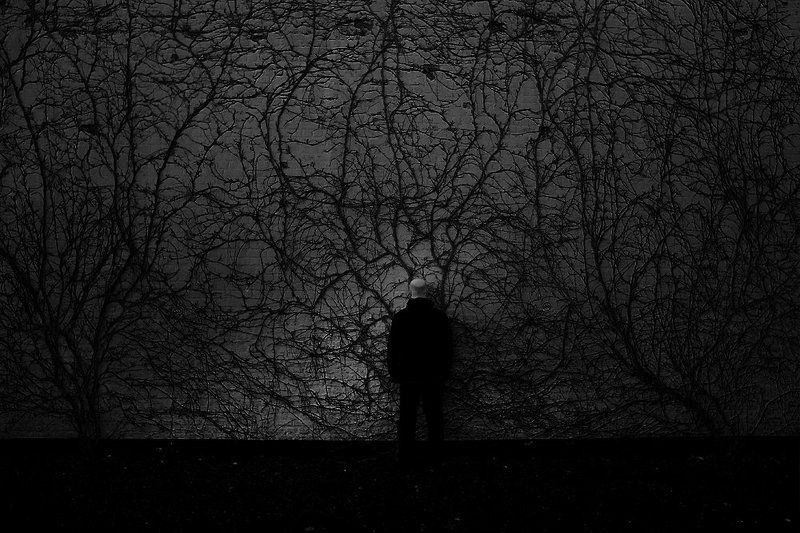 разум спит фото превью