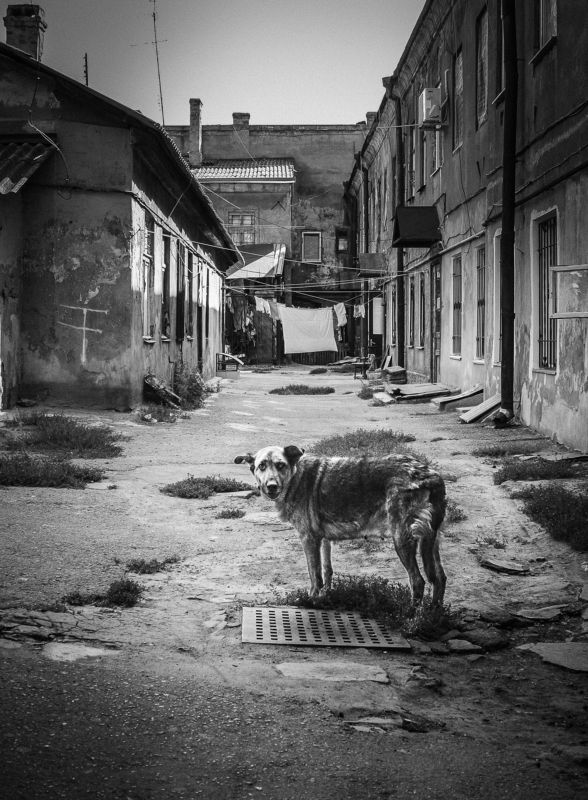 Добро пожаловать в Одессу фото превью