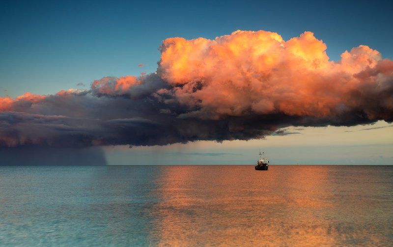 Back фото превью