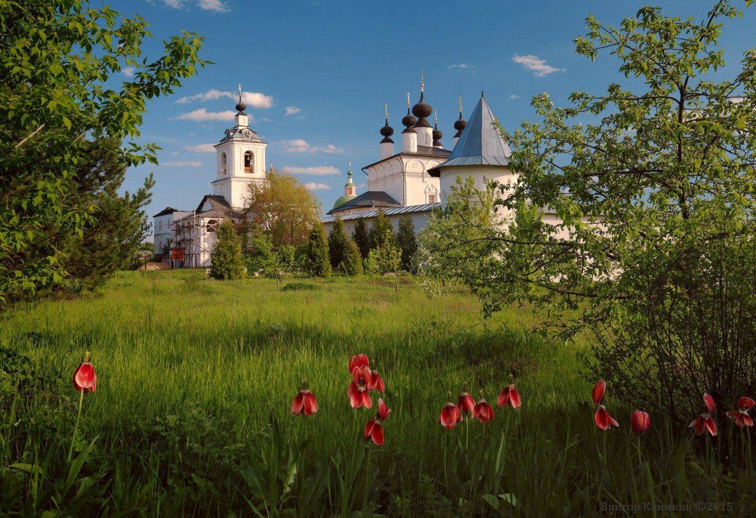 Весна, Женский монастырь, Кашира, Колокольня, Свято-Троицкий Белопесоцкий мона, Ступино, Храм, Цветы, Виктор Климкин