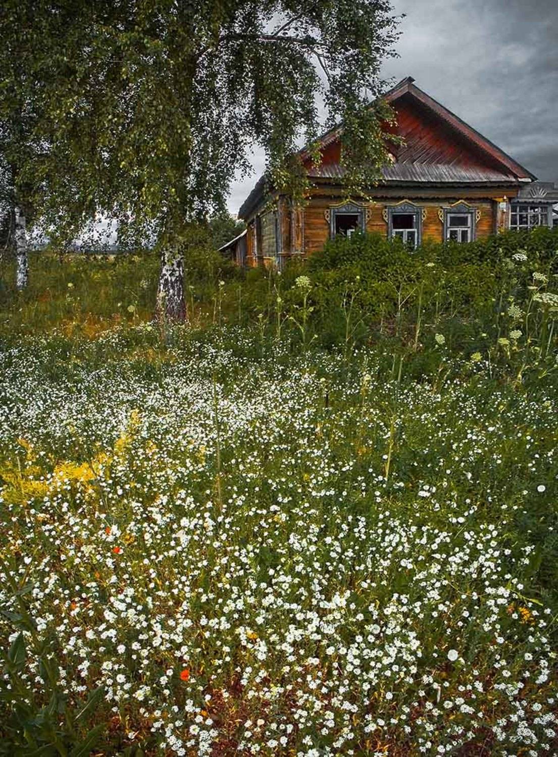 , Юрий Клюшкин