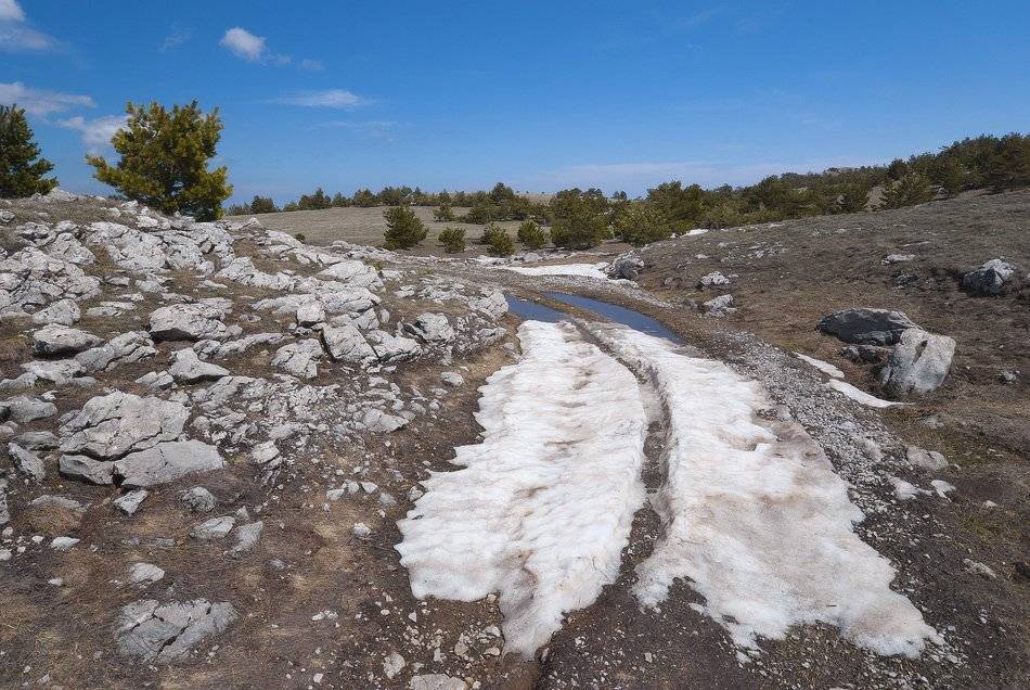 Яйла, май, тает последний снег..., Саша  Вайсберг / Waldschnepfe /